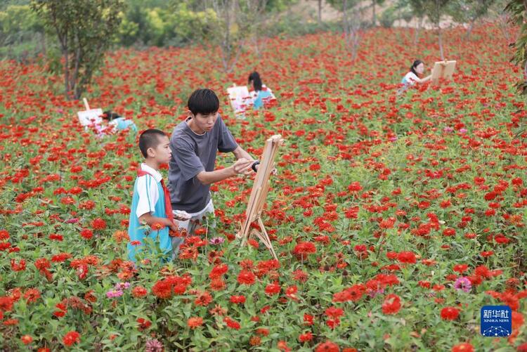 河北內丘：荒地變花海 鋪就致富路