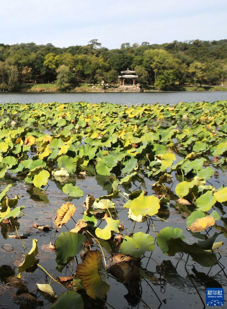 承德避暑山莊及周圍寺廟秋景如畫