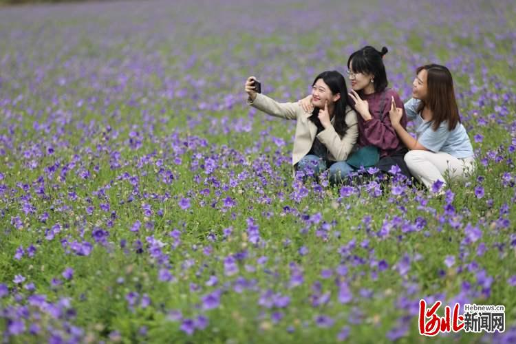 河北承德：農旅融合助力鄉村振興