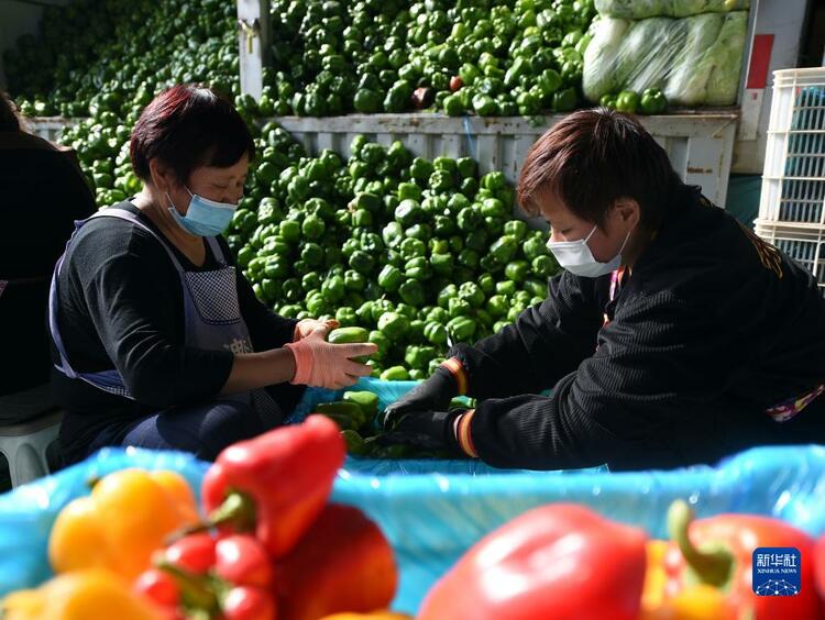 河北石家莊：保障生活物資平穩供應