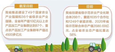 産業更加興旺 日子紅紅火火——河北省加快推進農村一二三産業融合發展