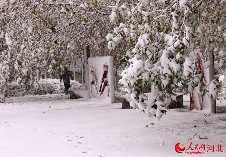 白雪皚皚銀裝素裹 河北各地迎來今冬“初雪”