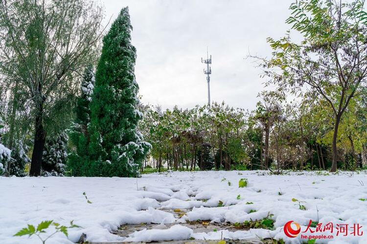 白雪皚皚銀裝素裹 河北各地迎來今冬“初雪”