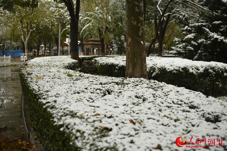 白雪皚皚銀裝素裹 河北各地迎來今冬“初雪”