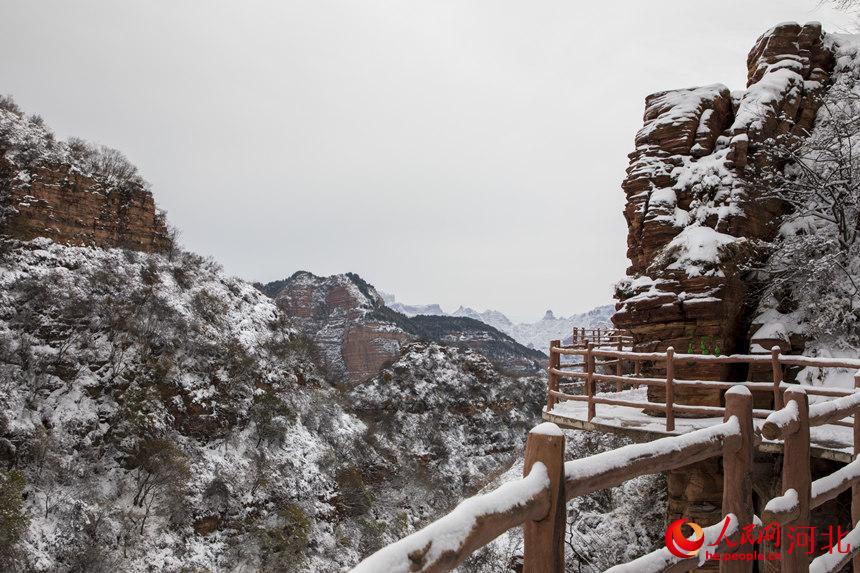 白雪皚皚銀裝素裹 河北各地迎來今冬“初雪”