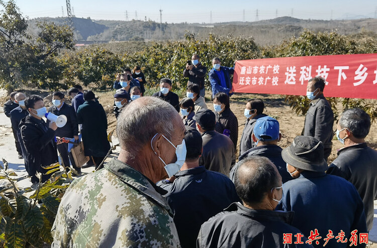 河北遷安：專家入村指導 助力鄉村振興