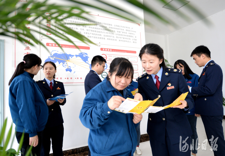 河北雞澤：送政策 問需求 促發展