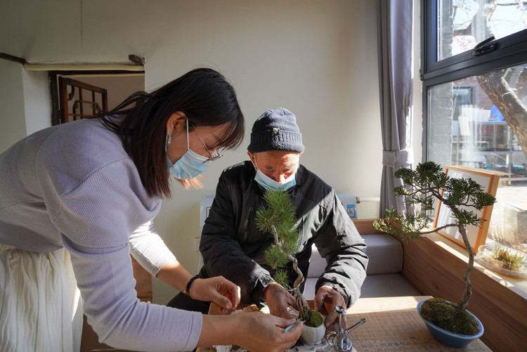 石家莊鹿泉區：“90後”盆景女孩鄉村助殘