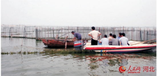 衡水湖：擦亮“華北綠明珠”譜寫全域旅遊新詩篇