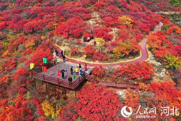 精準施策突出特色 打造“空心村”治理邯鄲模式