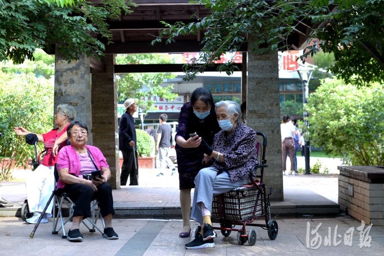 以史為鑒守初心 拼搏奮進新征程——河北省深入開展黨史學習教育紀實