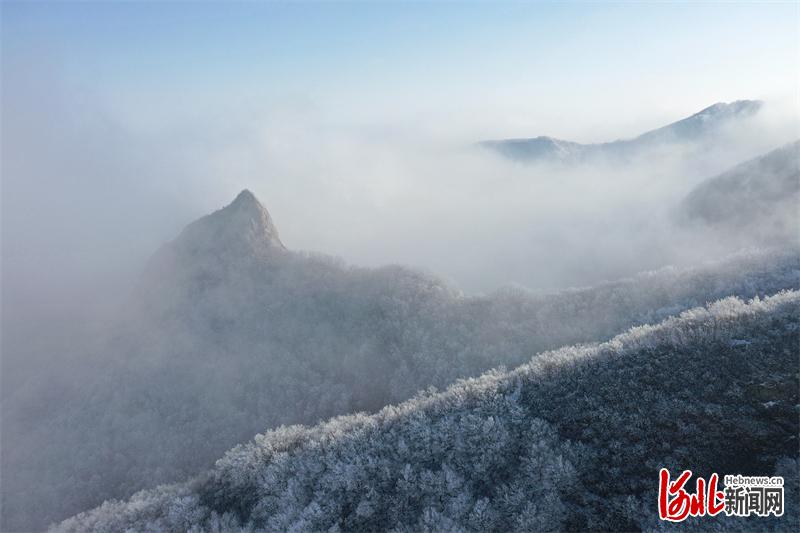 河北邢臺：九女峰霧凇雲海齊現 宛若瑤池仙境