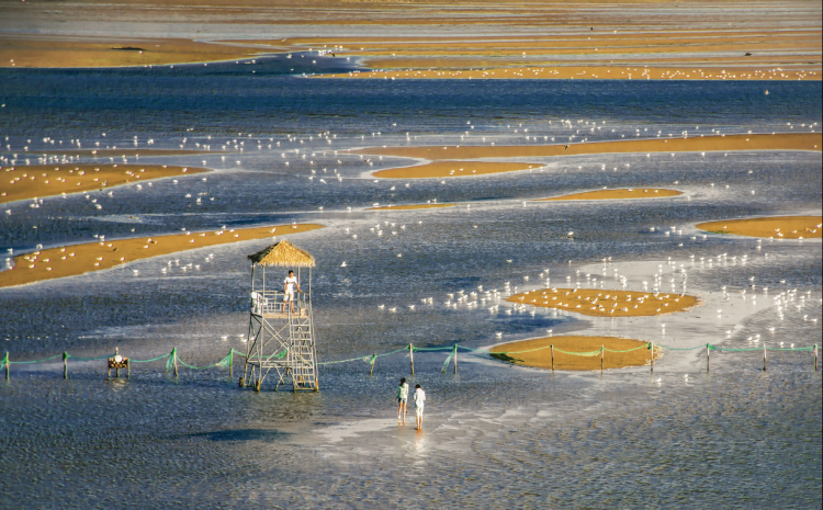 河北十項舉措提升河湖保護治理水準