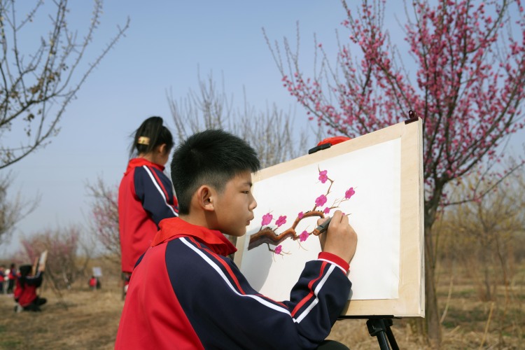 河北邢臺：梅花林裏畫春天