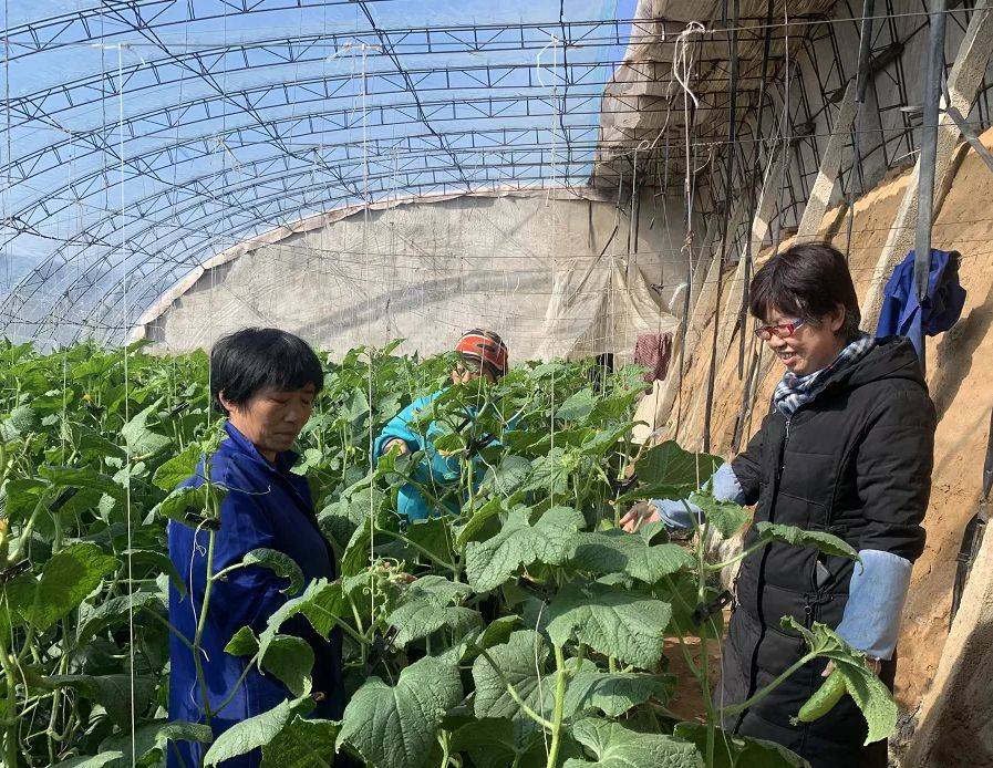 河北省各地全力保障農用物資和農機設備 支持春耕生産