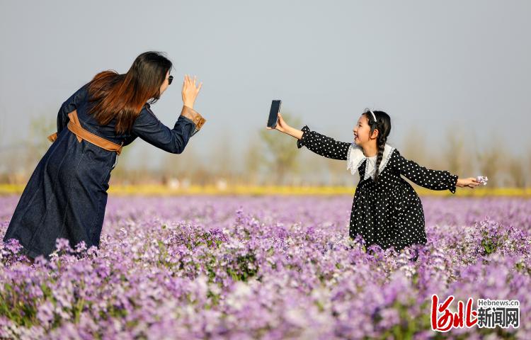 河北衡水：出遊踏青享春光