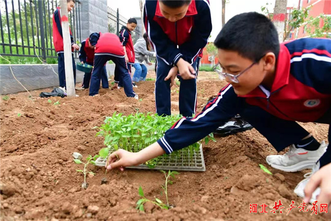 邯鄲市峰峰礦區：“黨建紅”引領“教育藍”