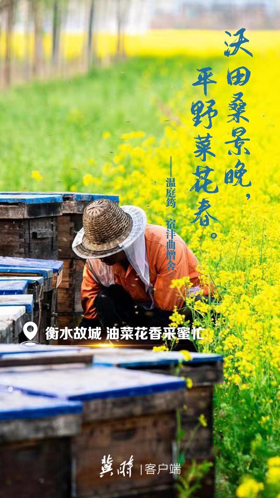 河北：一詩一花 這裡有人間最美的詩意芳華