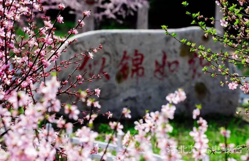 衡水故城大運河：繁華似錦 春意盎然