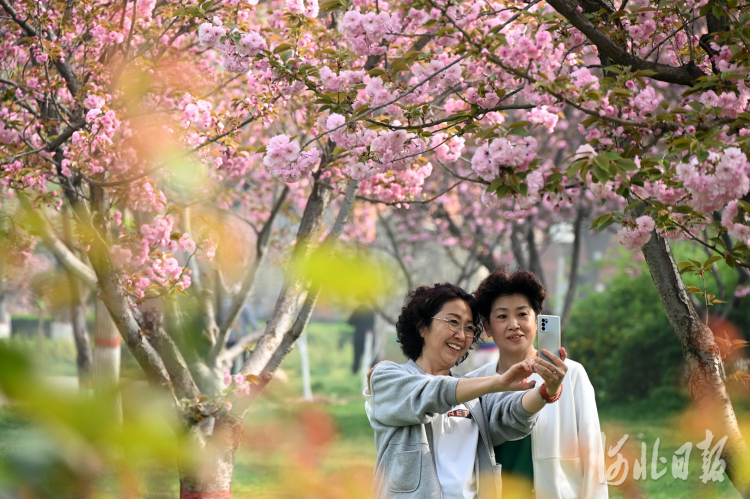 河北石家莊：加快花城建設