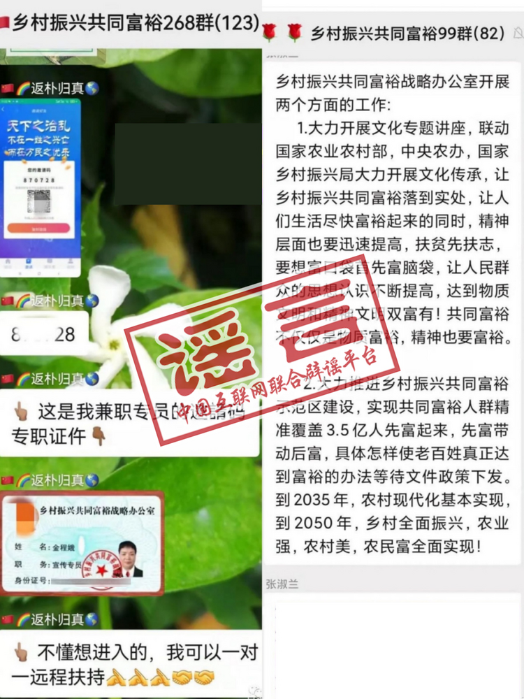 假機構！假方案！國家鄉村振興局辟謠