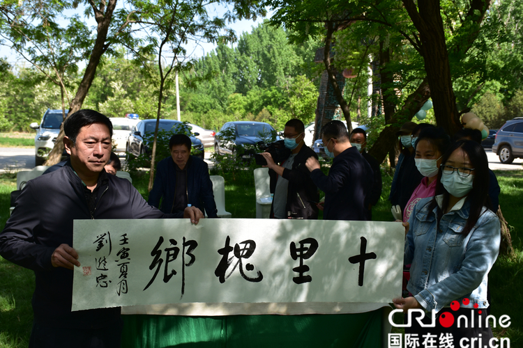 （原創）石家莊正定縣南崗鎮舉辦“槐海畫廊，翰墨飄香”活動_fororder_DSC_0203.JPG