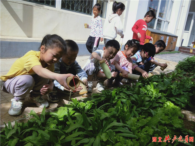 石家莊市鹿泉區李村鎮中心幼兒園開展“五一”勞動節實踐活動