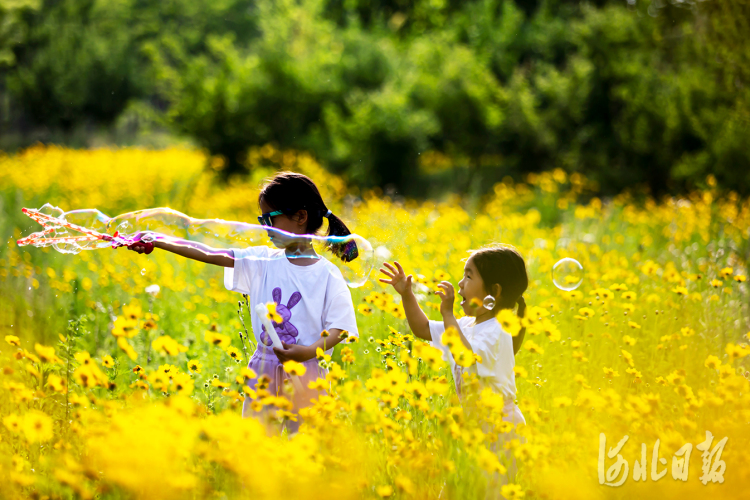 打卡古城邯鄲“後花園”