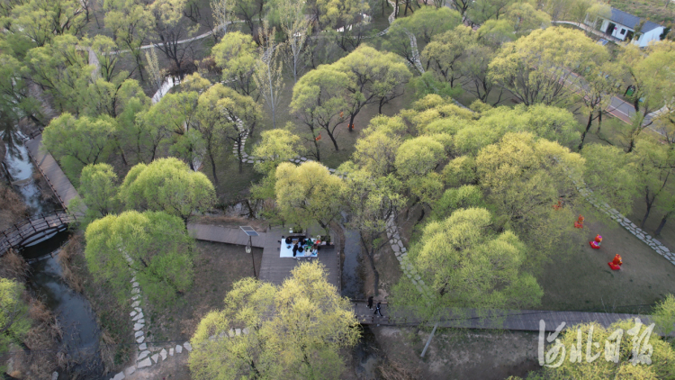 濃蔭下漫步 草地上撒野 邯鄲美得就是這麼“親密”