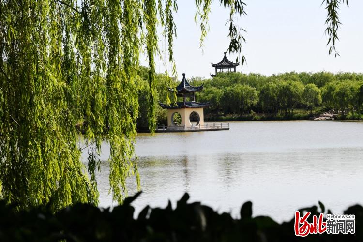 河北廣平：出門見景 ！“口袋公園”亮點多