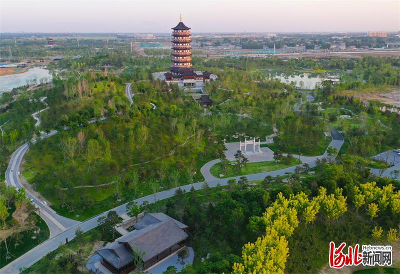 雄安新區悅容公園入夏美