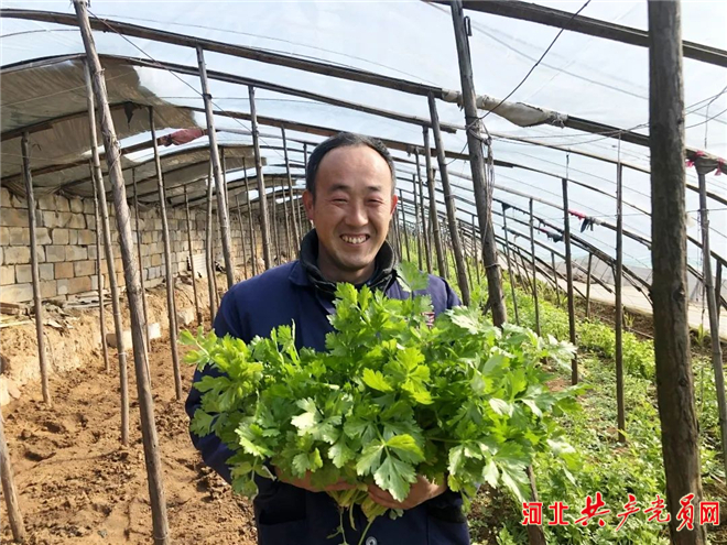 邯鄲市峰峰礦區彭城鎮：黨旗飄揚在一線，幹群齊心促發展