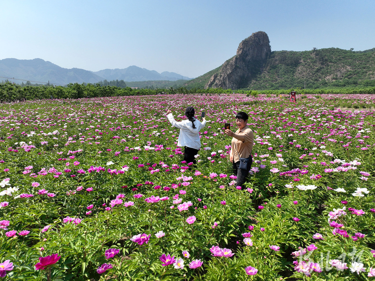 河北遷西：農旅融合促增收