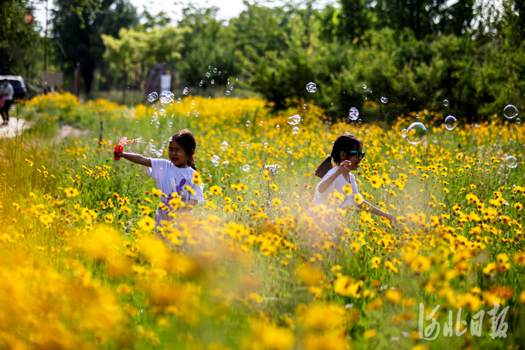 打卡古城邯鄲“後花園”