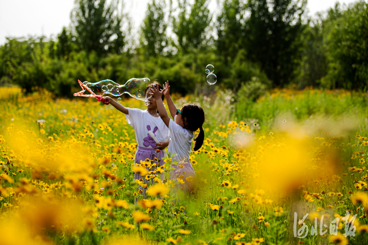 打卡古城邯鄲“後花園”