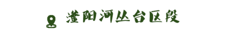 濃蔭下漫步 草地上撒野 邯鄲美得就是這麼“親密”