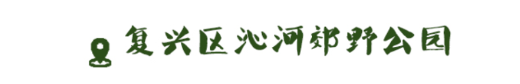 濃蔭下漫步 草地上撒野 邯鄲美得就是這麼“親密”