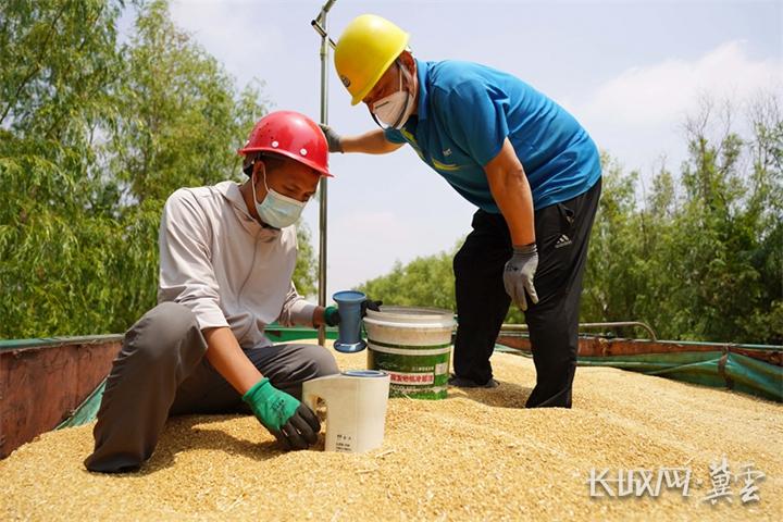 （指令）貫徹落實省委十屆二次全會精神丨守住大國糧倉 讓中國飯碗裝上更多“河北糧”