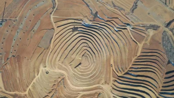 荒地變良田 農民心裏甜 秦皇島盧龍持續推進土地整治，預計新增耕地1.9萬畝_fororder_23