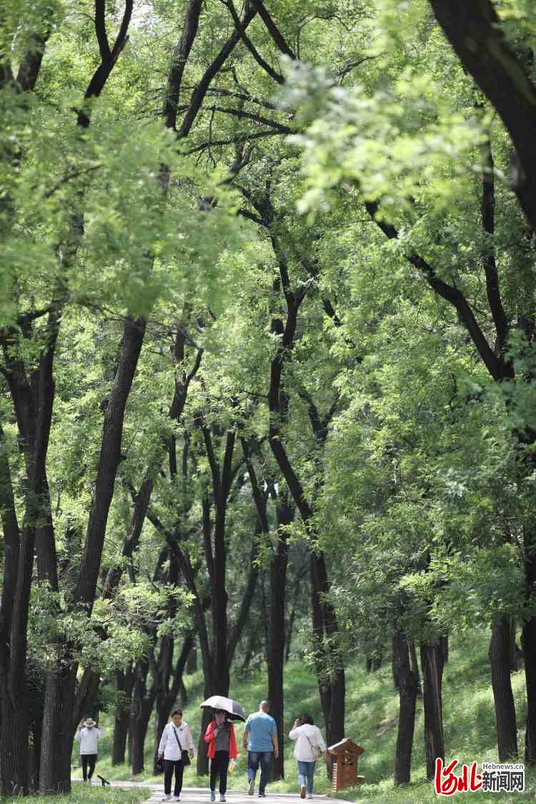 河北承德：避暑山莊好風光