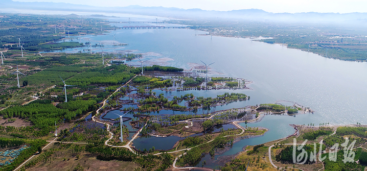 張家口官廳水庫國家濕地公園：護一泓清水 潤京張兩地