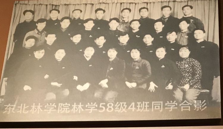 一閱60年！來這裡，看塞罕壩人的創業故事