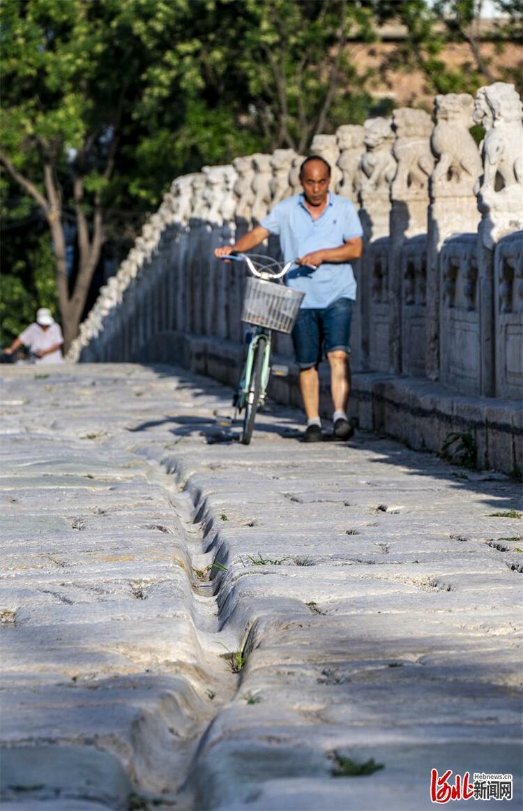 河北衡水：生態湖城 熠熠生輝