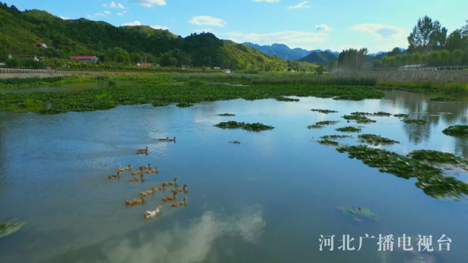 深入實施京津冀協同發展戰略丨承德：創新河湖管護機制 護好一泓清水潤京津