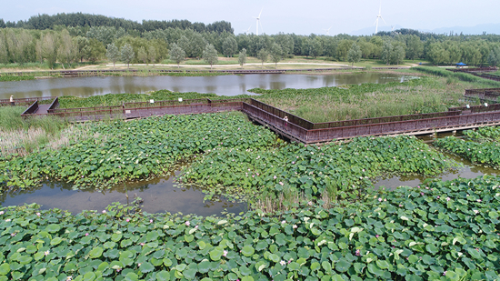 河北全力打造“首都兩區”建設典範區——“一泓碧水”滋養京冀百姓 “生態明珠”助力協同發展