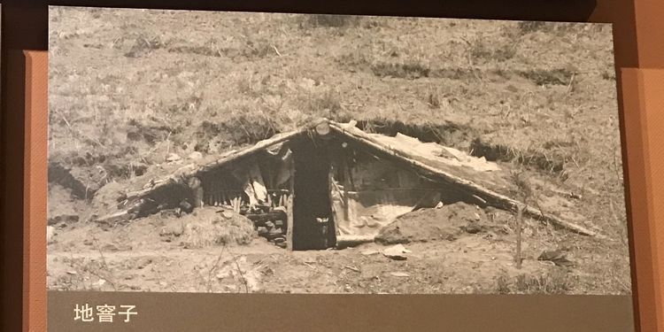 一閱60年！來這裡，看塞罕壩人的創業故事