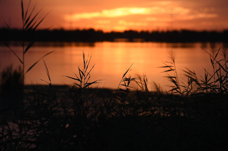 邢臺：南宮湖夕照 景色美如畫