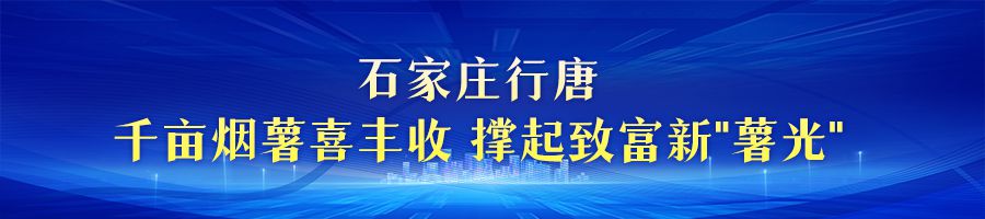 金色收穫 美麗河北 | 碩果挂枝頭 收穫好“豐”景