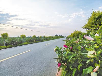 河北樂亭：修一條路 造一片景 惠一方人