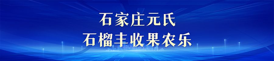 金色收穫 美麗河北｜中秋迎豐收 田野果實香